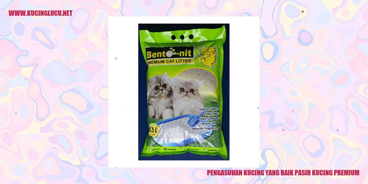 Gambar kucing menggunakan pasir kucing premium