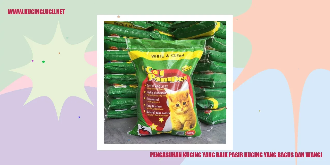 Foto Kucing Menggunakan Pasir Kucing yang Bagus