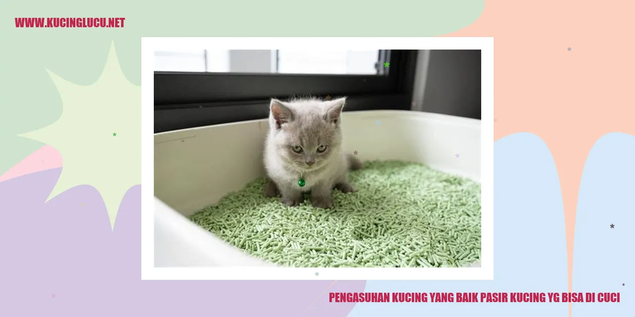 Kucing di atas pasir kucing yang dapat dicuci