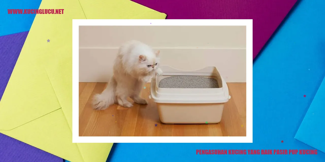 Gambar Kucing di Pasir Toilet Kucing