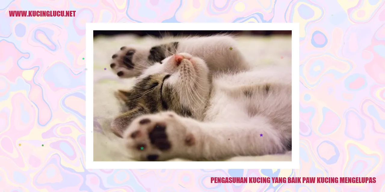 Kucing Mengelupas