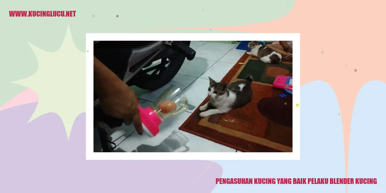 Pengasuhan Kucing yang Baik