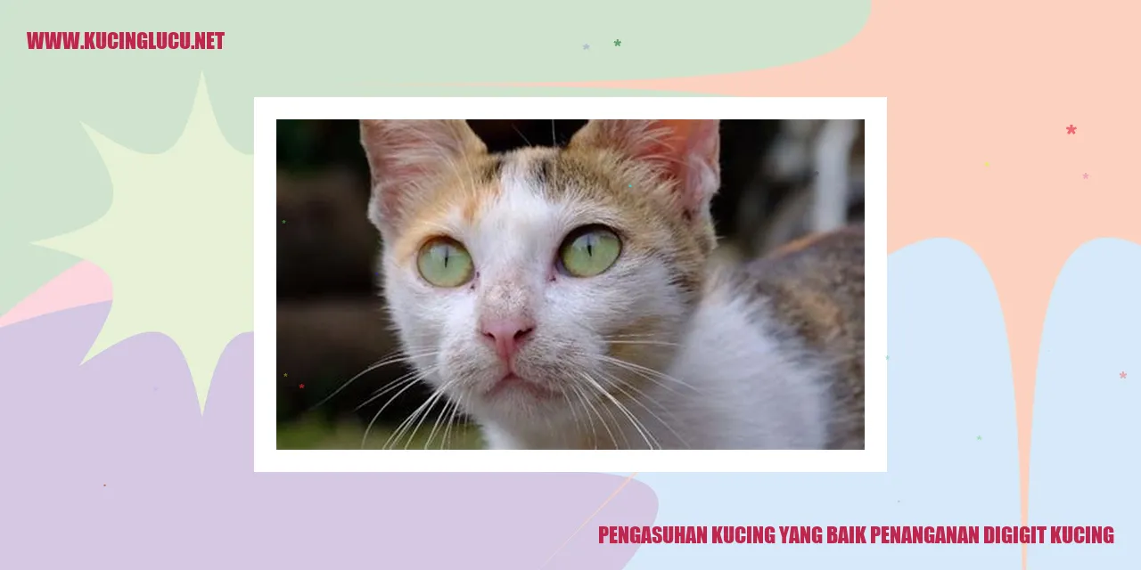 Gambar Kucing