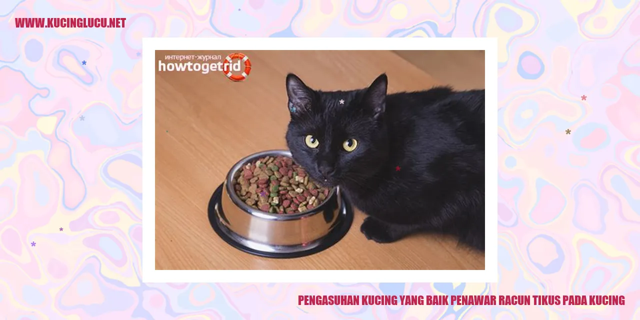 Gambar Kucing
