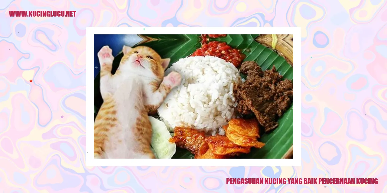Kucing Lucu