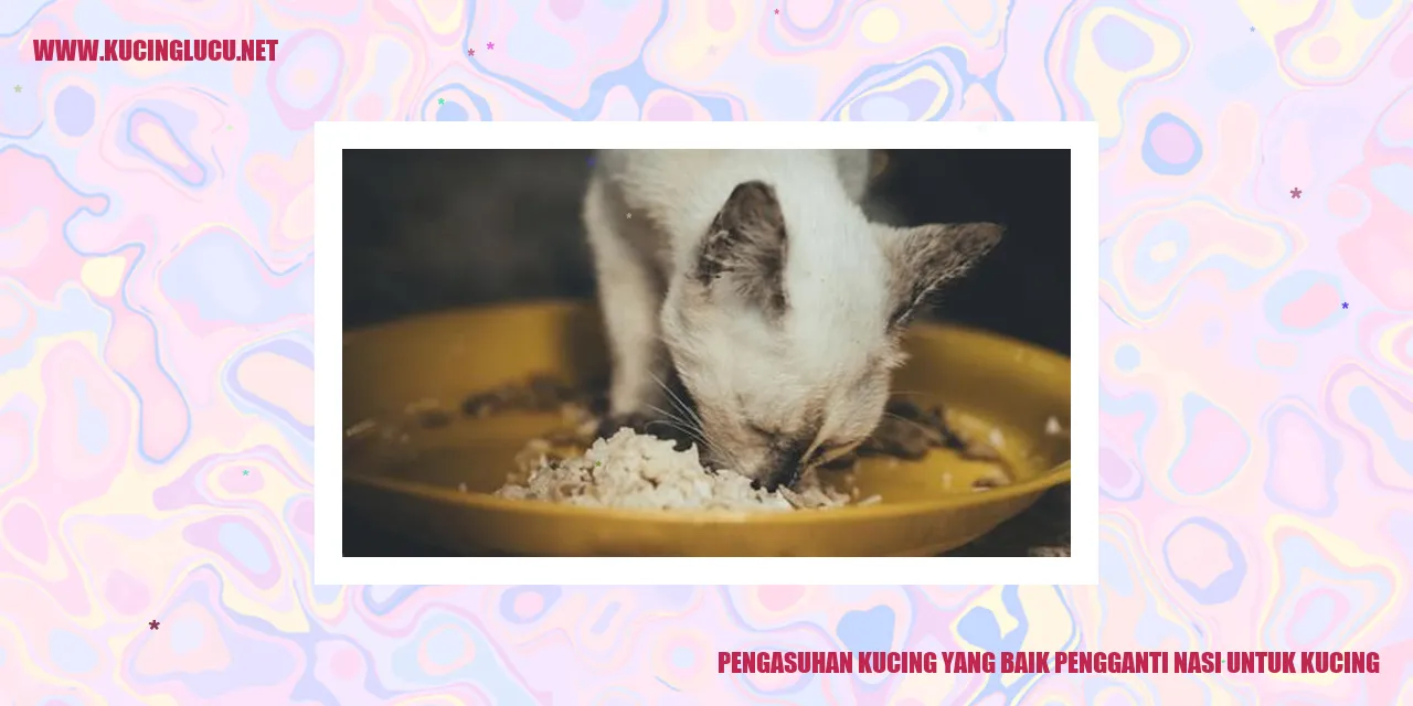 Kucing makan