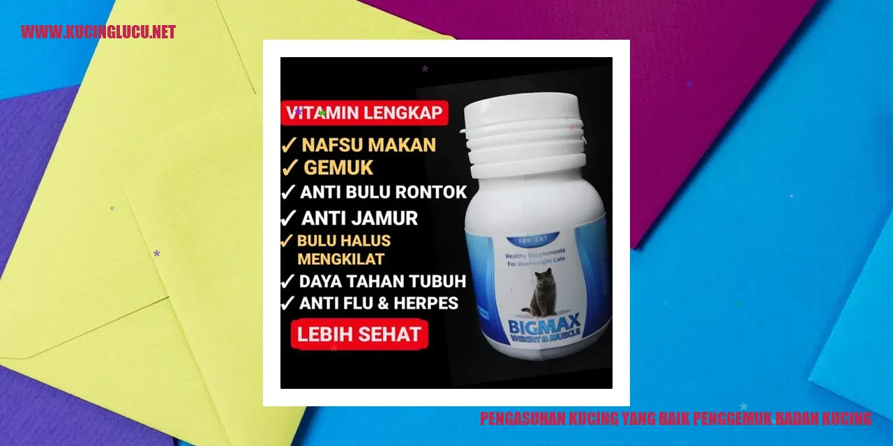 Kucing yang sehat