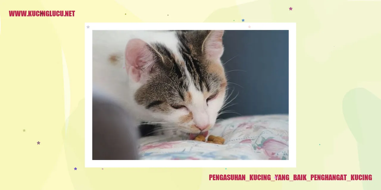Kucing yang Hangat