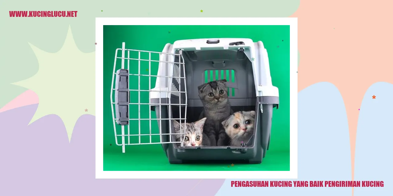 Kucing Menggemaskan