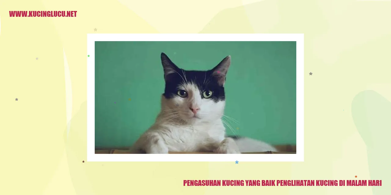 Gambar kucing dengan kemampuan penglihatan di malam hari yang baik
