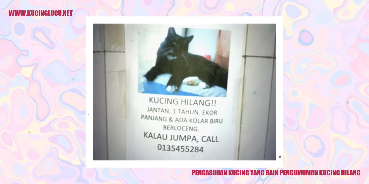 gambar pengasuhan kucing yang baik