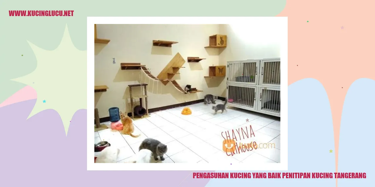 Gambar kucing yang bahagia