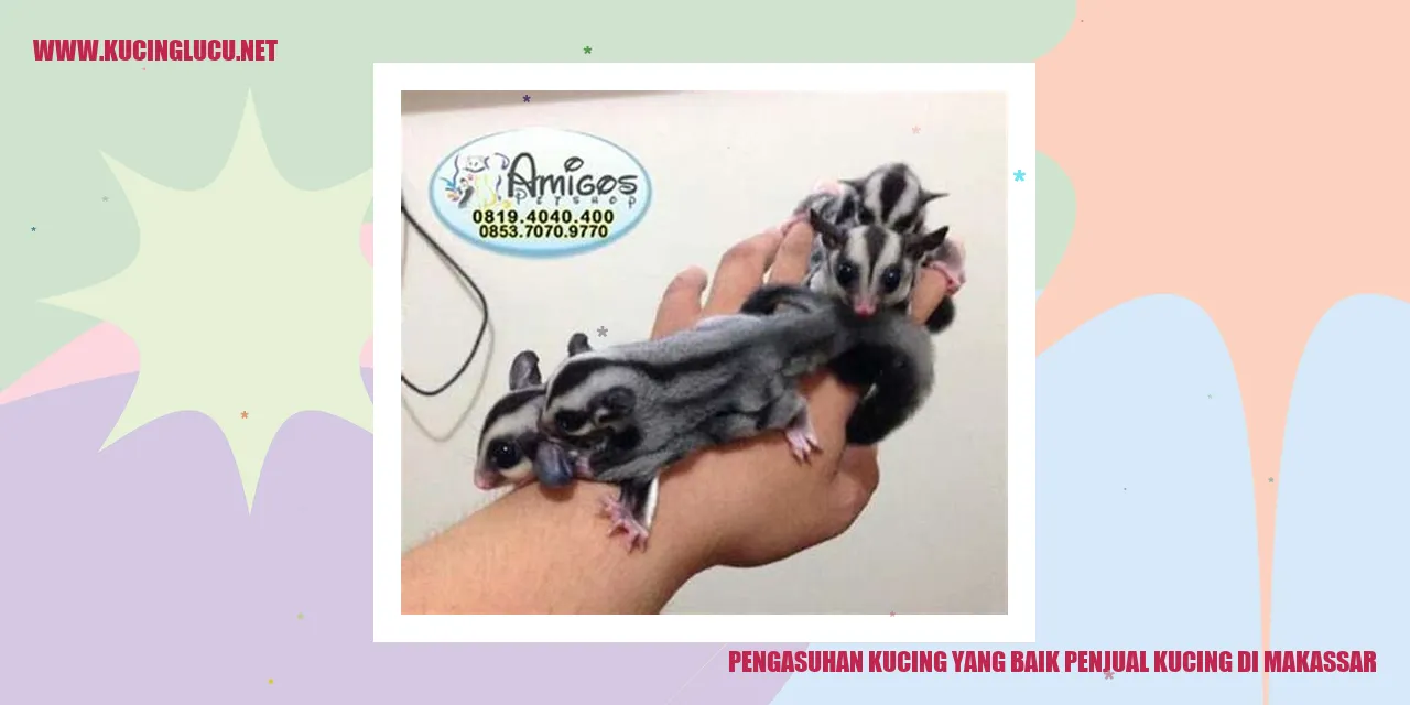 Gambar Kucing yang Bahagia