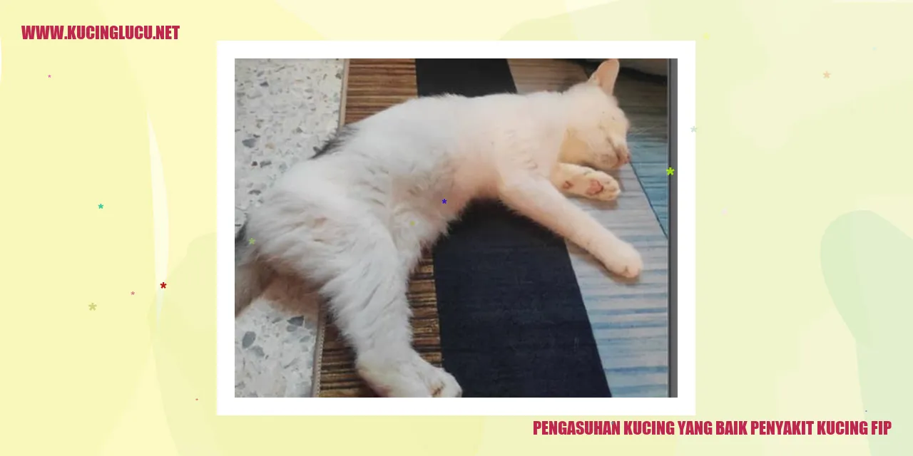 Kucing Tetap Sehat dengan Perawatan yang Baik