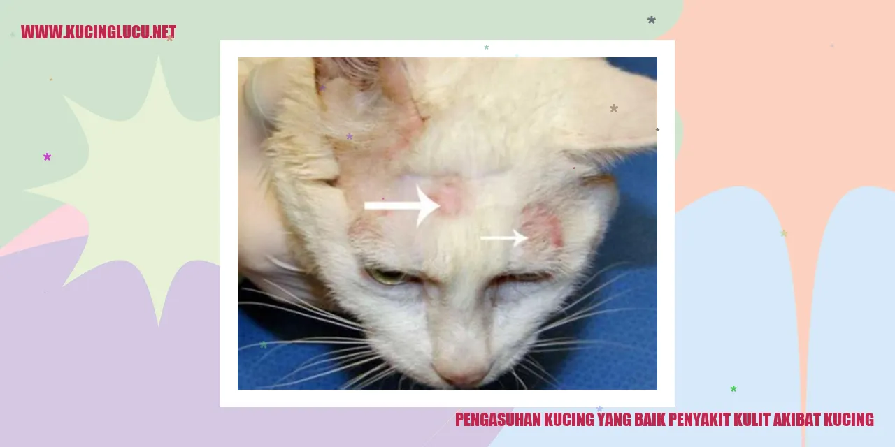 Kucing Sehat