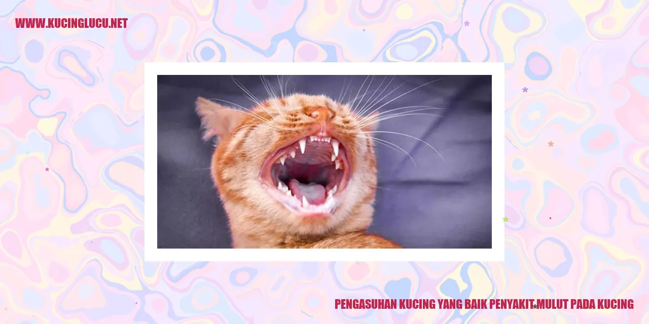 Gambar kucing