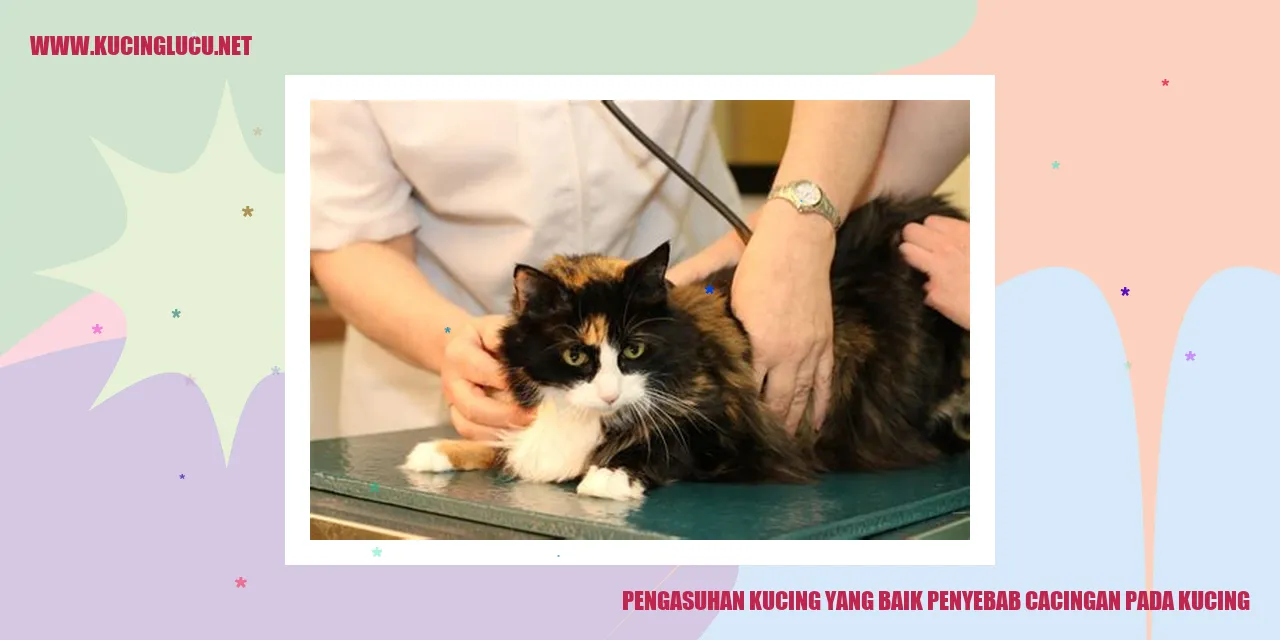 Kucing yang Sehat