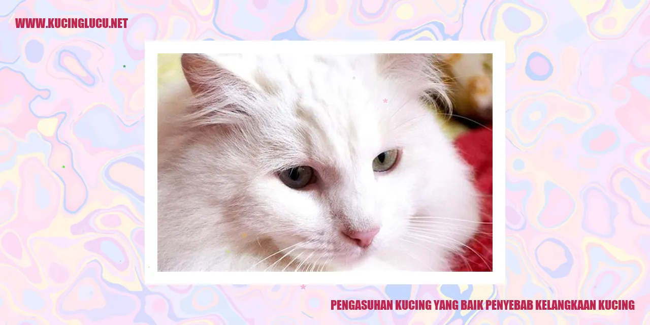 Gambar seekor kucing yang lucu