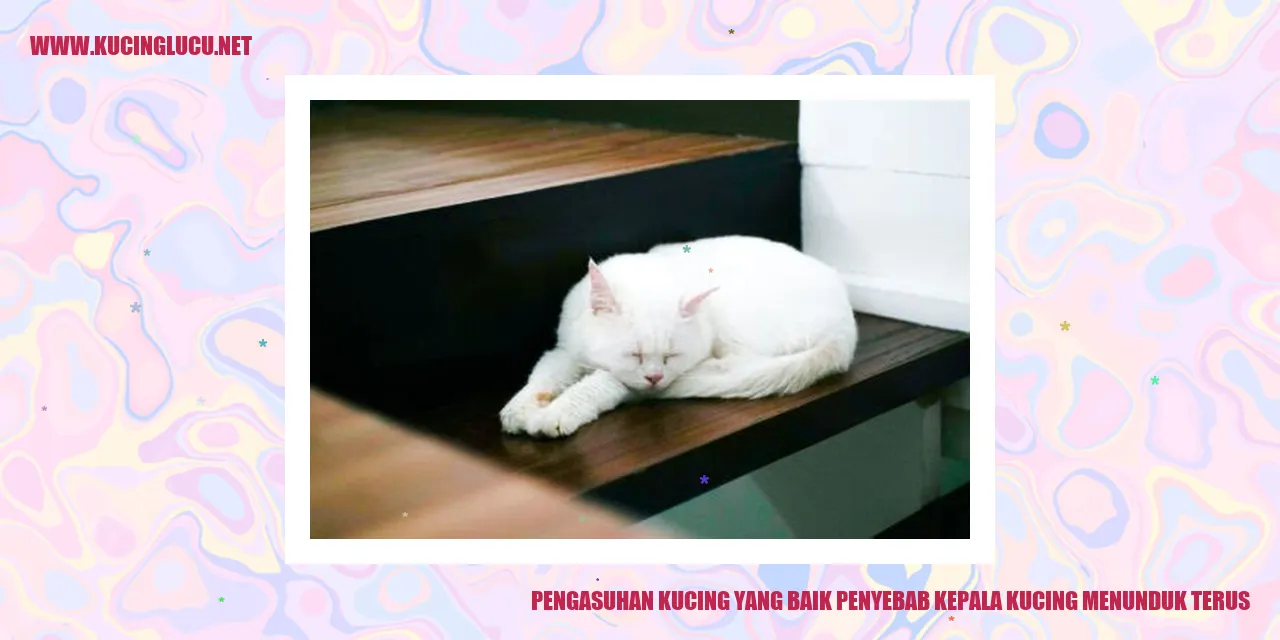 Gambar Kucing