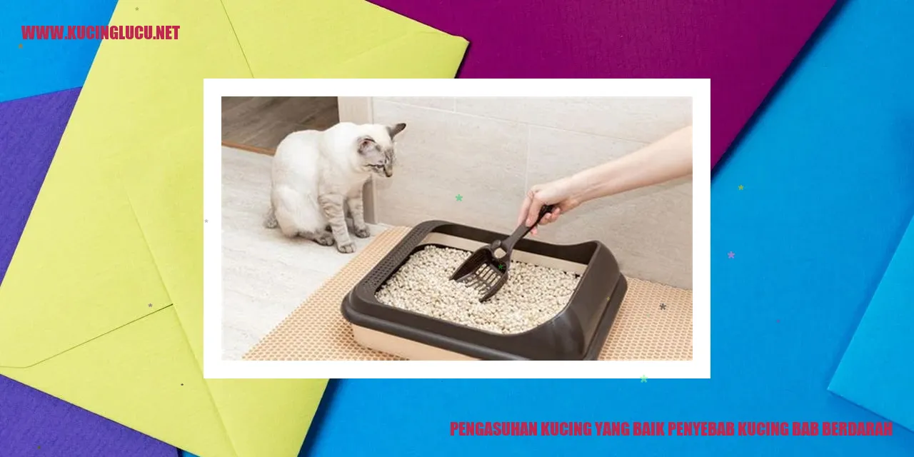 Pengasuhan Kucing yang Baik penyebab kucing bab berdarah