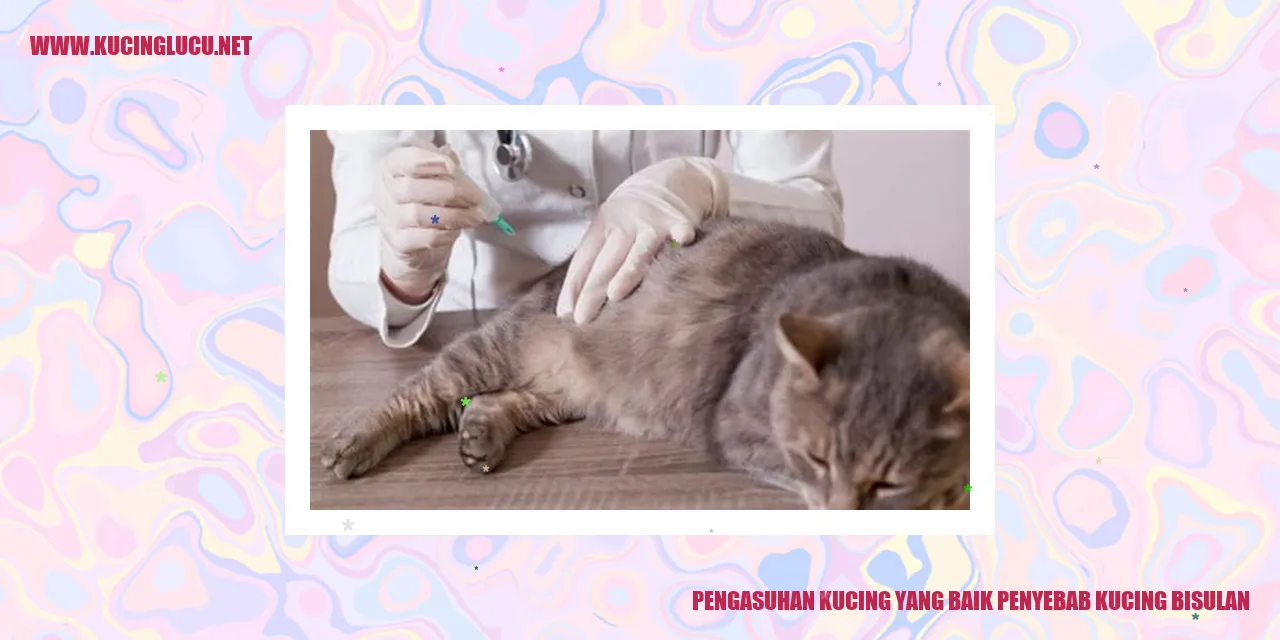 Pengasuhan Kucing yang Baik penyebab kucing bisulan