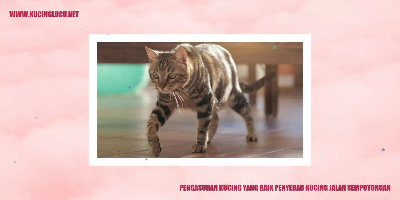 Panduan Asuh Kucing yang Baik dan Permasalahan Kucing yang Berjalan Tergelincir
