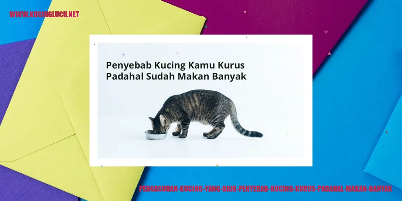 Pengasuhan Kucing yang Baik