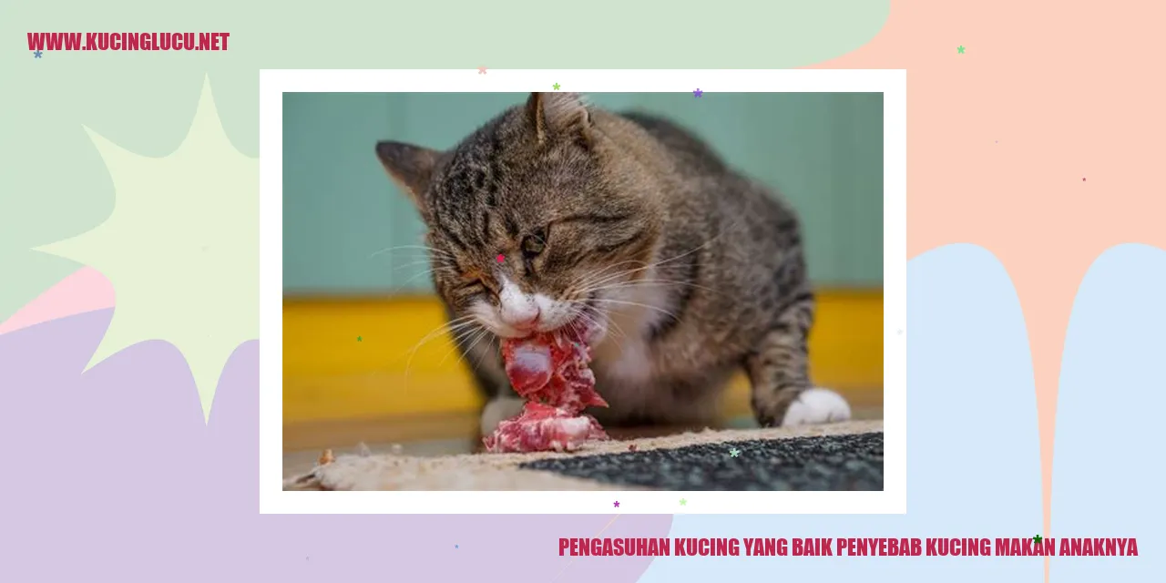 Gambar Kucing dan Anaknya