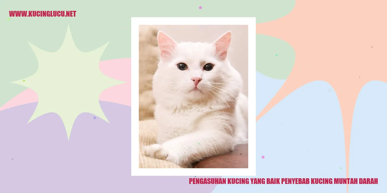 Gambar Kucing