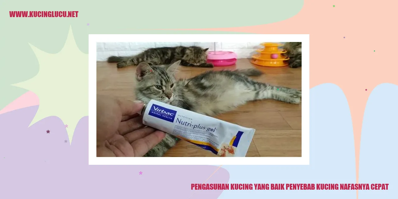 Kucing Mengambil Napas Cepat