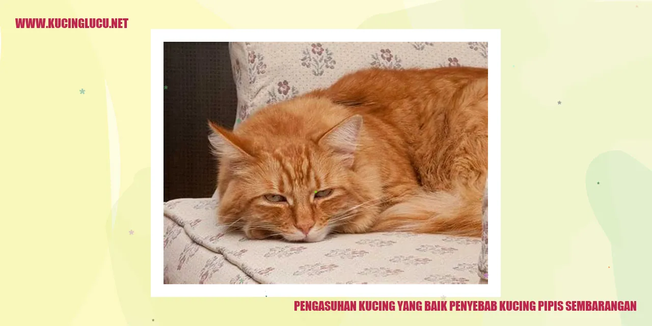 Gambar Kucing