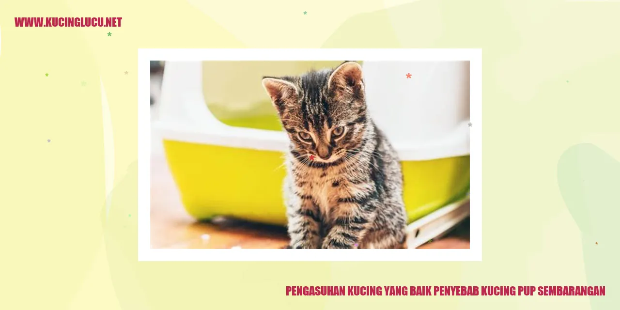 Pengasuhan Kucing yang Baik