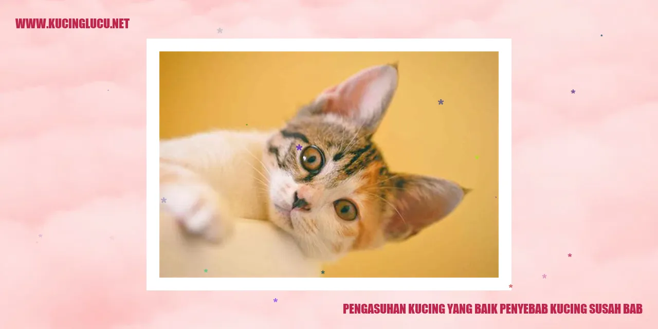 Gambat Menjaga Kesehatan Kucing