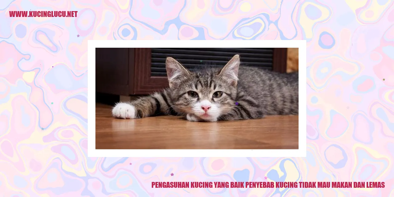 gambar kucing
