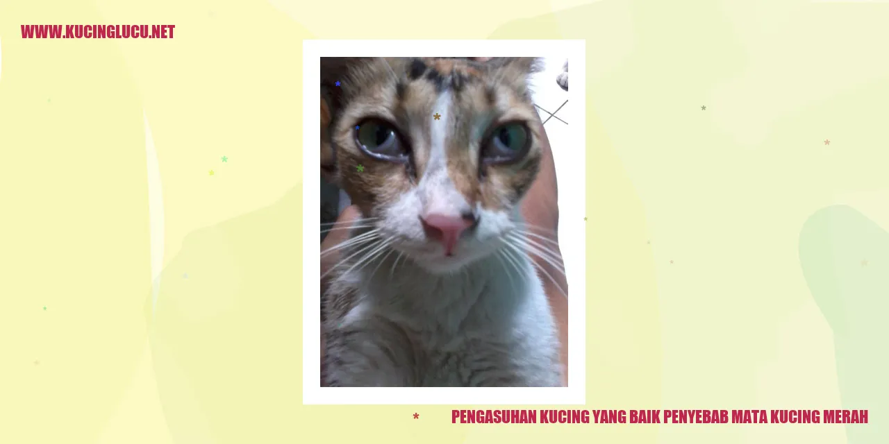 Gambar Kucing Merah