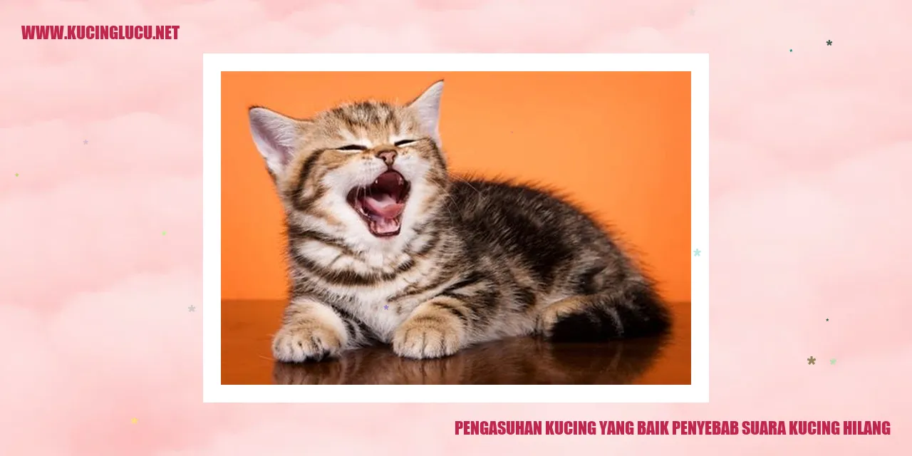 Foto kucing yang menggemaskan