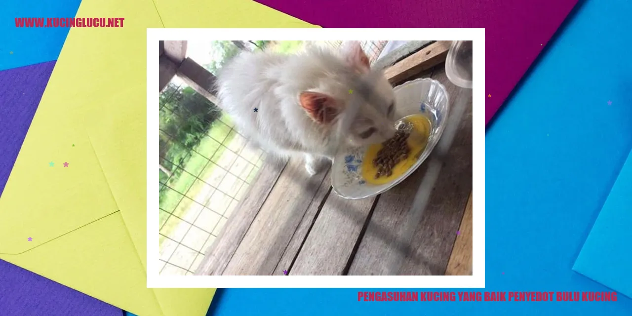 Kucing dengan bulu yang rapi