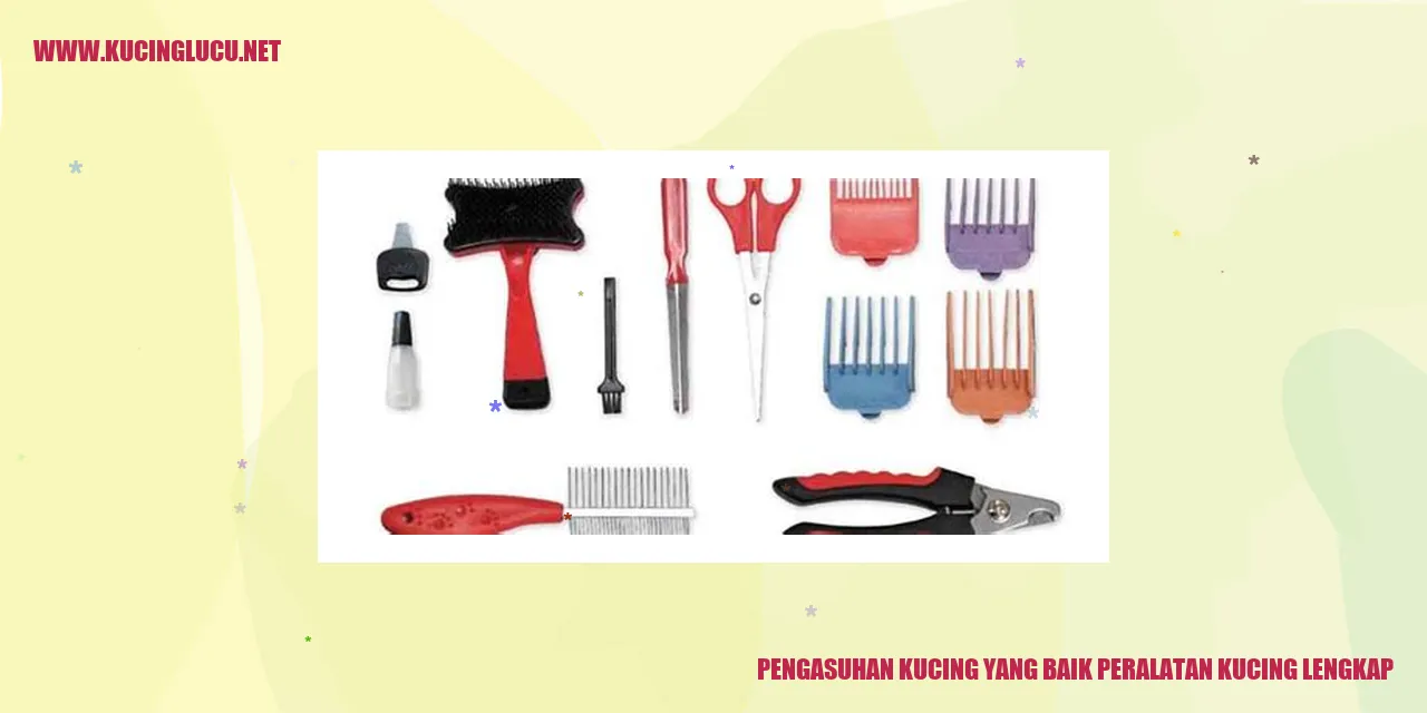 jejak kaki