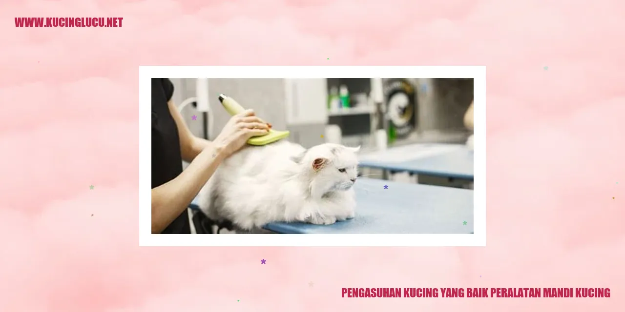 Perawatan mandi kucing