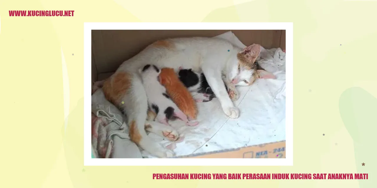 Gambar: Kucing Sedih