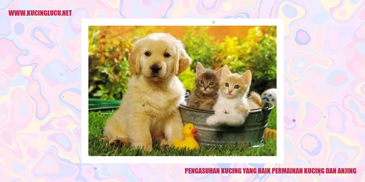 gambar kucing dan anjing