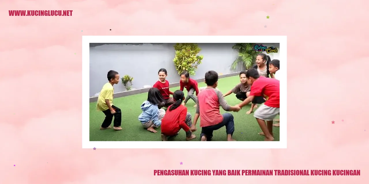 Gambar Kucing yang Lucu