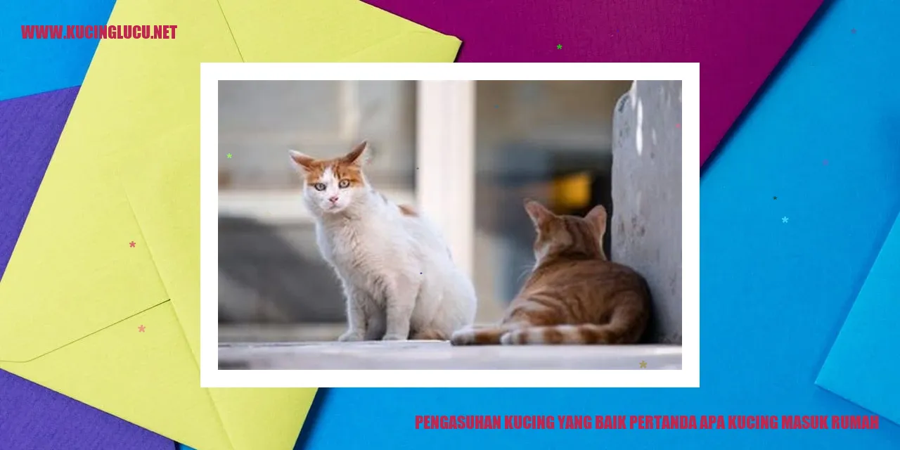 Kucing bahagia
