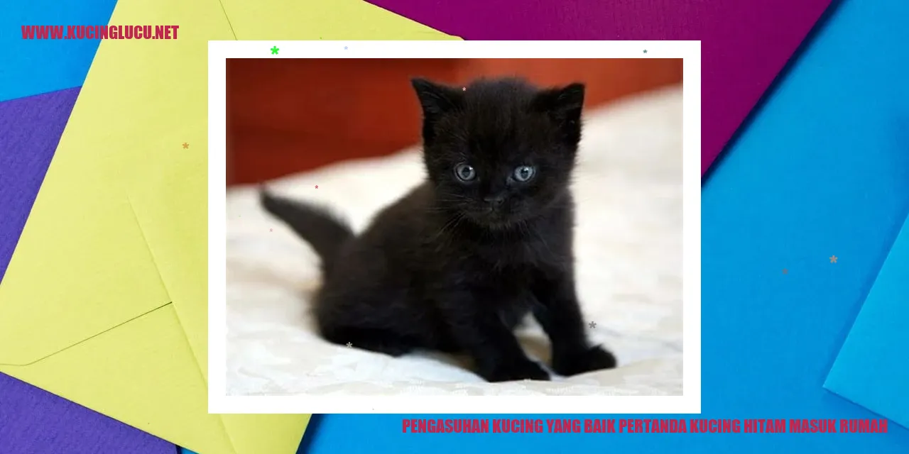 Gambar kucing hitam yang menggemaskan
