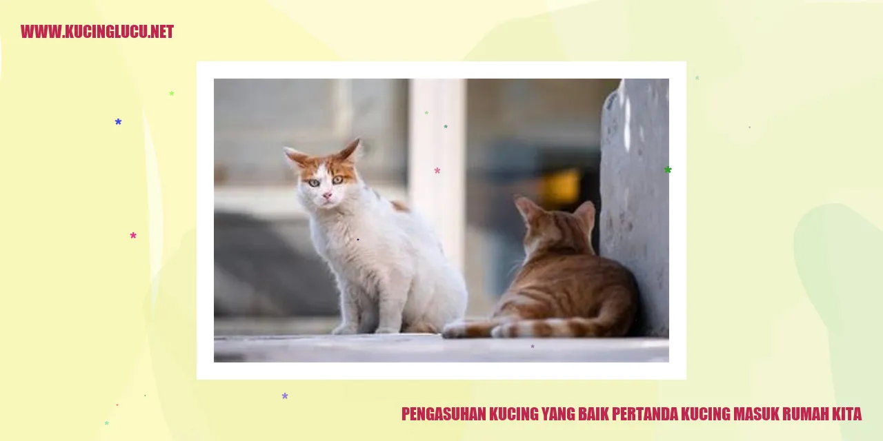 Kucing yang sehat dan bahagia