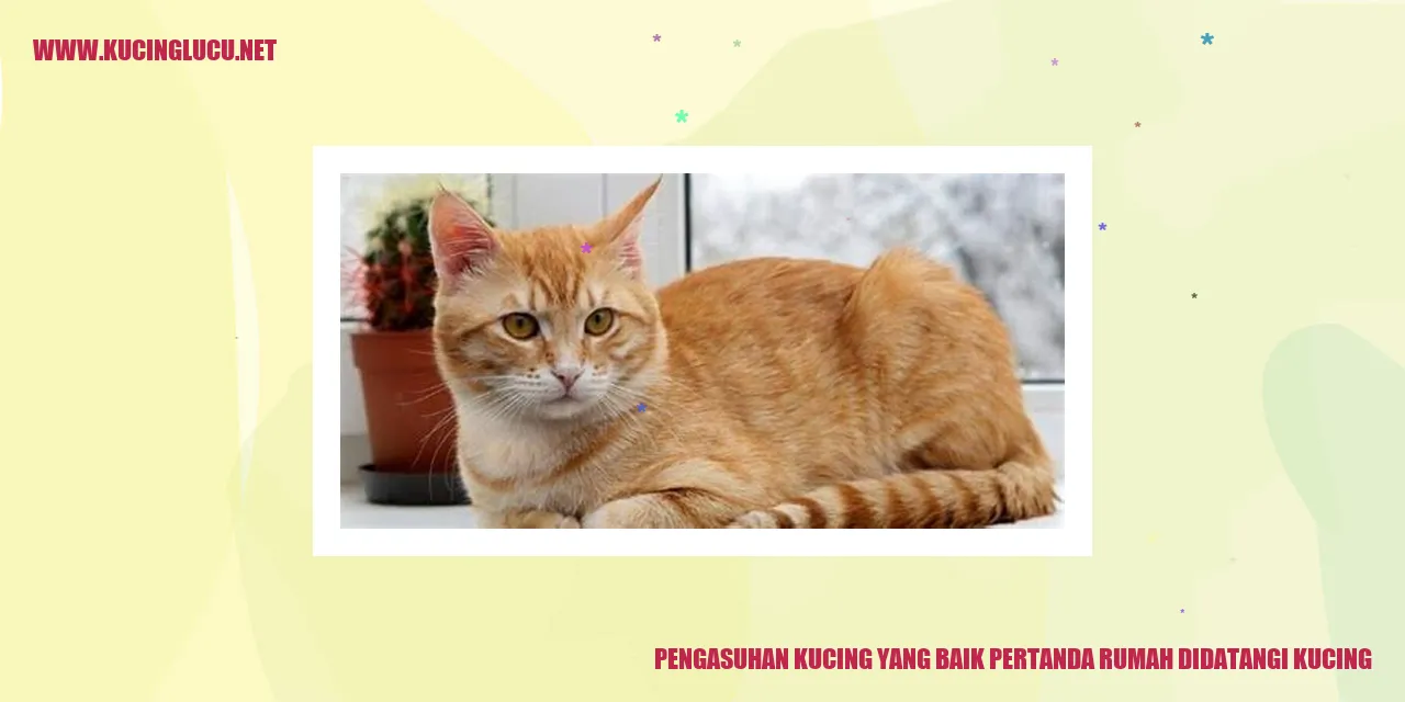 Kucing yang Menarik