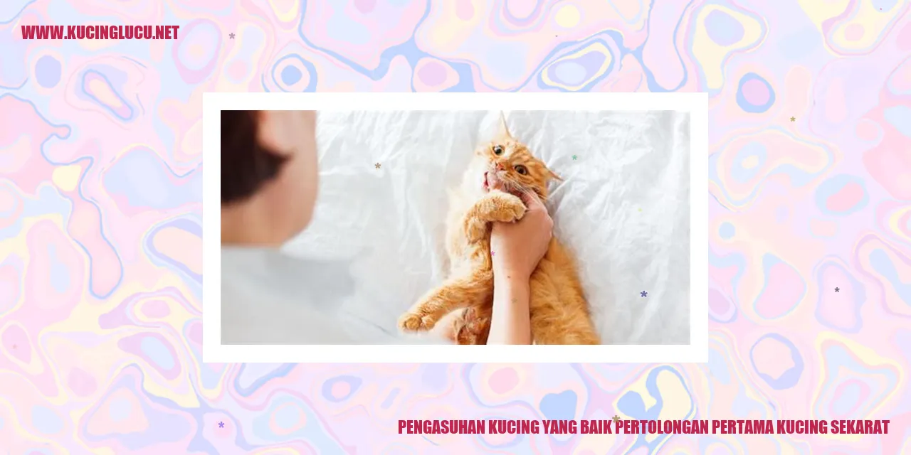 Mengasuh Kucing dengan Baik dan Membantu Saat Kucing Terjepit