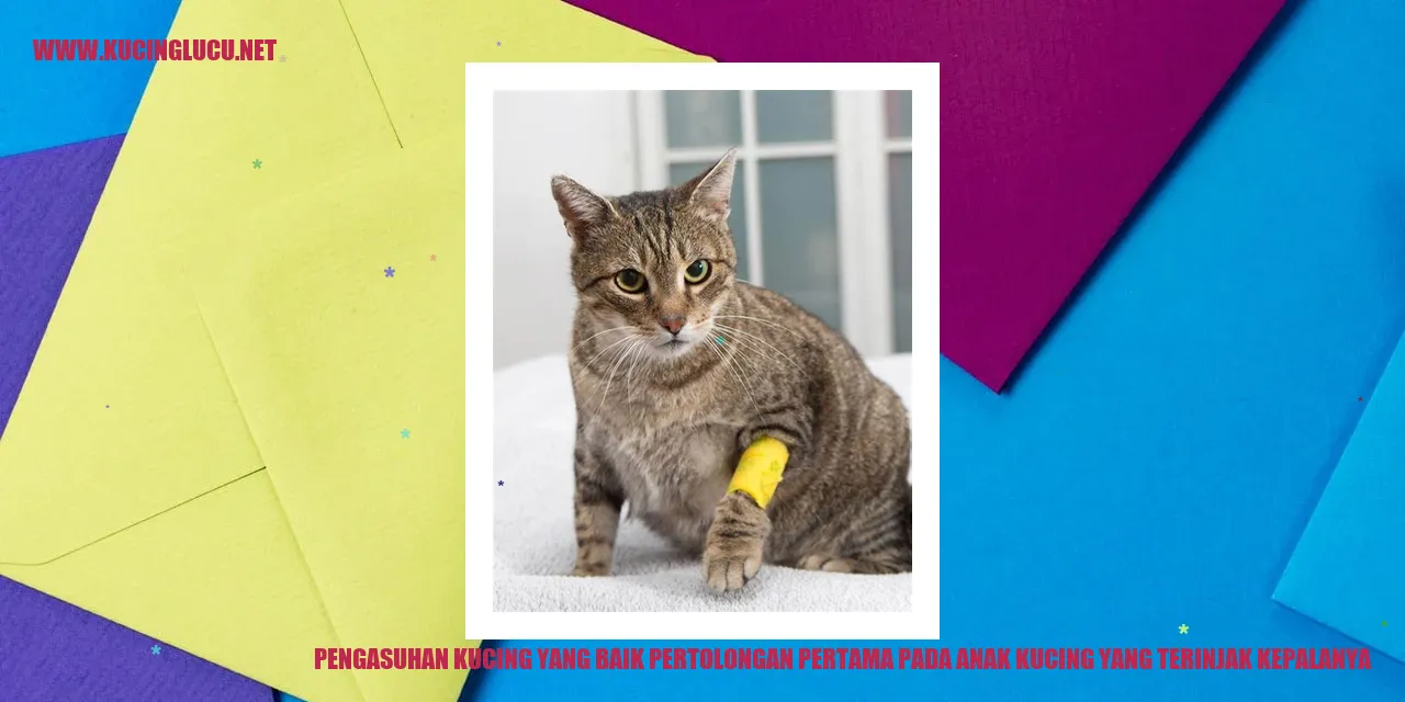 Pentingnya Mengasuh Kucing dengan Baik dan Cara Pertolongan Pertama pada Anak Kucing yang Terinjak Kepalanya