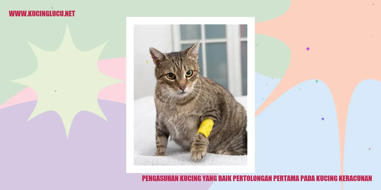 gambar kucing