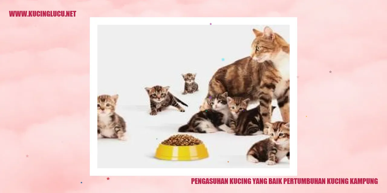 Gambar Kucing